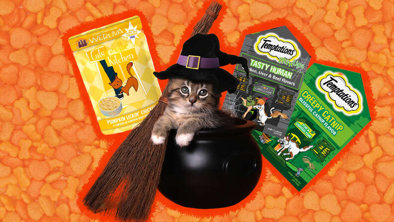 Scaredy Cat: Temptations Celebrates Halloween With The First