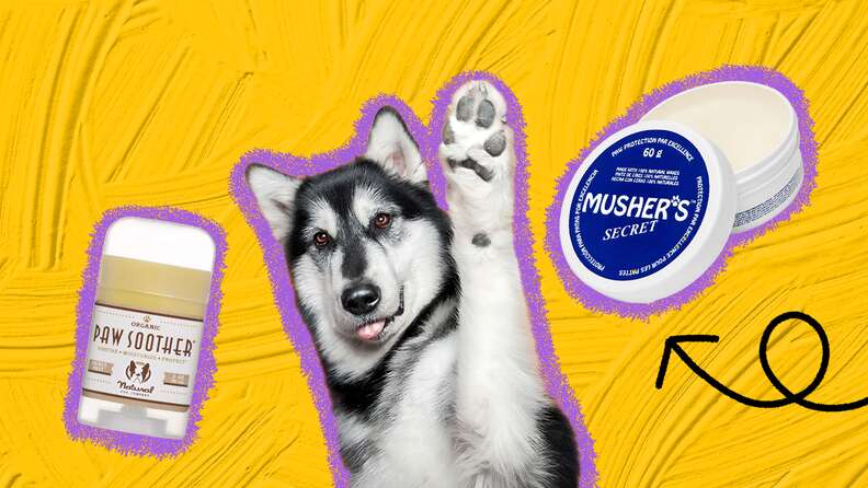 Dog paw top pad moisturizer petsmart