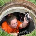 A woman rescues a kitten from a drain pipe before reuniting the kitten with her mom.