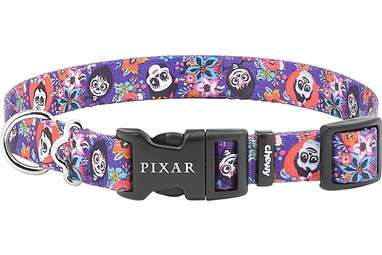 This “Coco” collar for Día de los Muertos: Pixar Coco Dog Collar