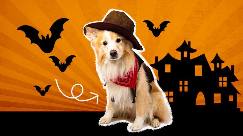 Dog Cowboy Costume 