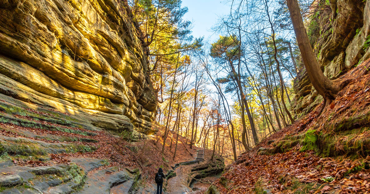 are dogs allowed in starved rock state park