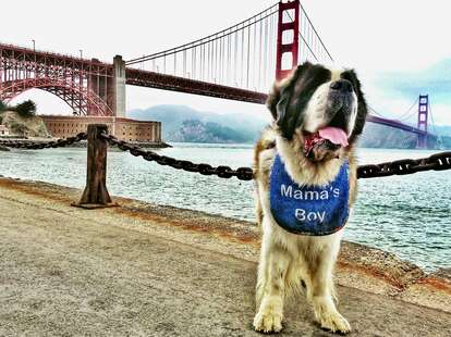 golden gate bridge