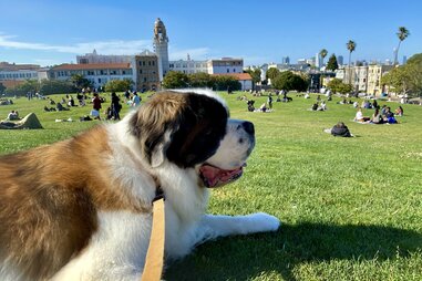 Dolores Park