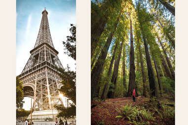 panoramic vertical images of the Eiffel Tower and a forest