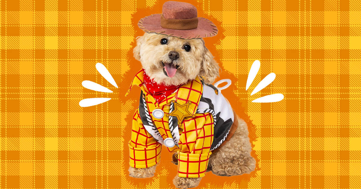 Cowgirl on sale dog costume