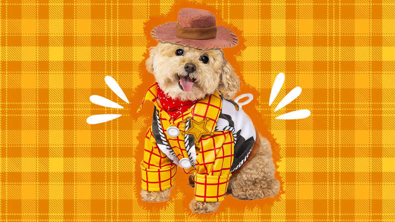 Toy story hot sale dog costume