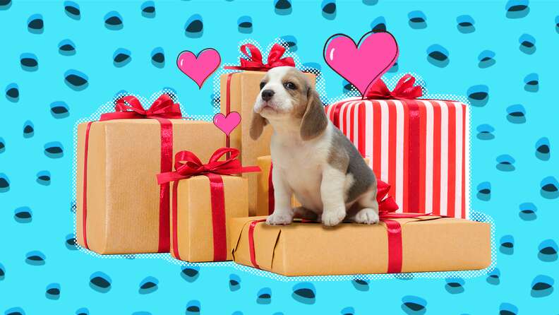 Dogs/puppies/dog Toys/dog Gifts/treats/new Puppy/rescue Dog/dog Mom/dog  Dad/dog Gift Basket/gift Basket/dog Themed Gift Basket/dog Adoption 