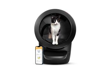 To make scooping clumps a thing of the past: Litter-Robot 4