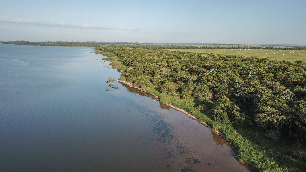 Photography Contest with Chance to Travel to Brazil's Amazon - Thrillist