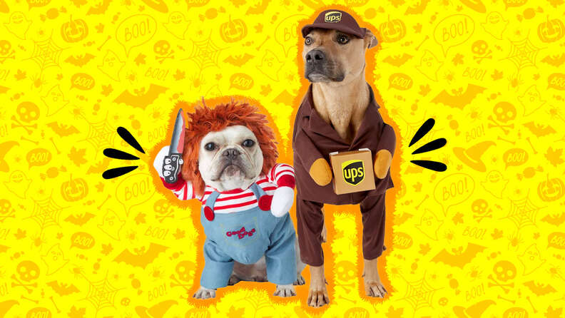 Halloween Dog Costumes Funny Pet Chucky Costume with Arms