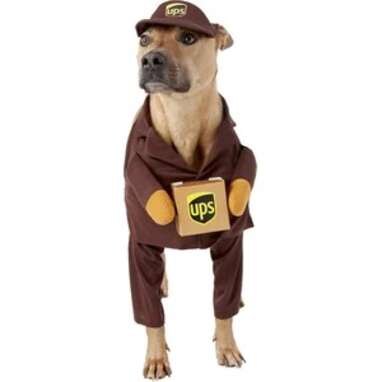 Funny Dog Costumes: 8 Picks Sure To Slay This Halloween - DodoWell - The  Dodo