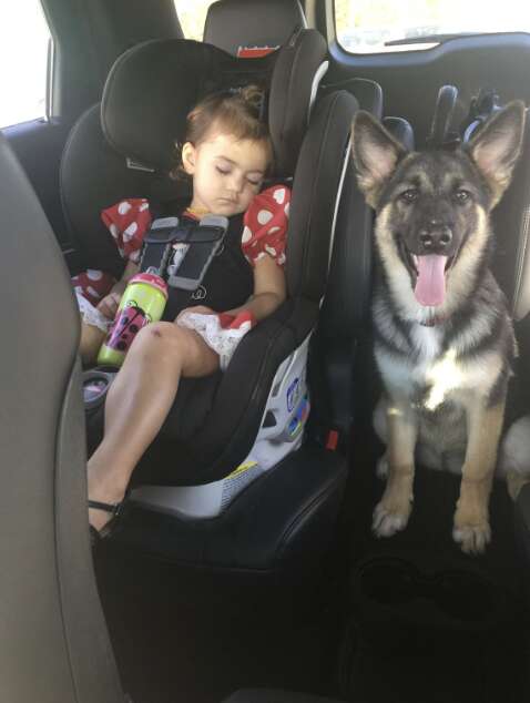 baby asleep with dog next to her