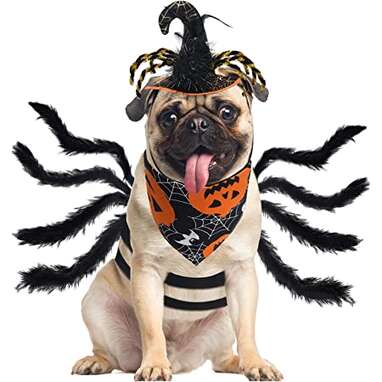 This costume and bandana combo gives you the best of both worlds: Zeaxuie Dog Halloween Costumes with Bandana