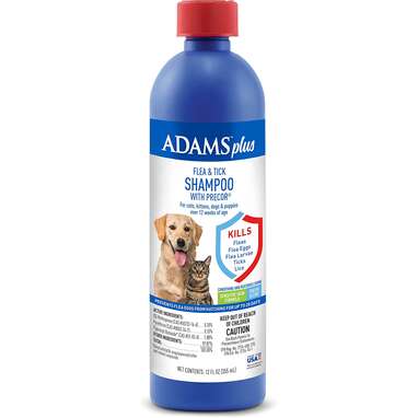 Flea Shampoo For Cats The Best Formulas You Can Buy And What To Know Before Lathering Up DodoWell The Dodo