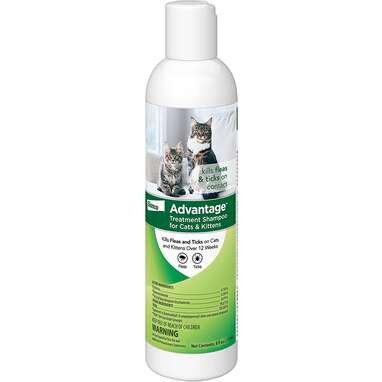 Best runner-up flea shampoo for cats: Advantage Flea and Tick Treatment Shampoo
