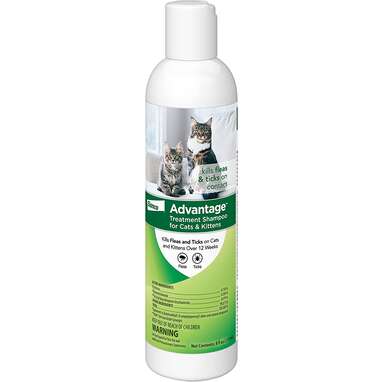 Good flea sale shampoo for cats