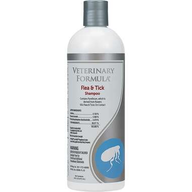 can humans use dog tick shampoo