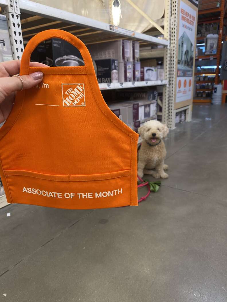 Professional Good Girl Becomes Home Depot s Pawssociate Of The