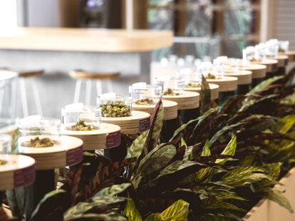 Giving Tree Dispensary