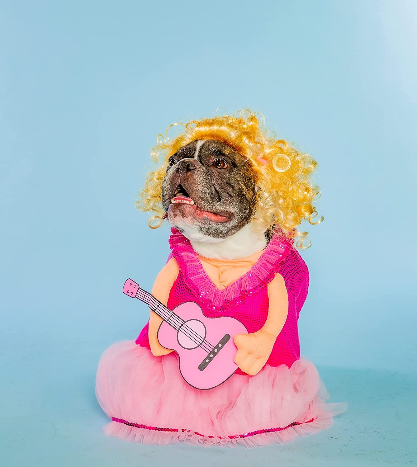 Doggy Parton Pink Dress, Guitar & Wig Set