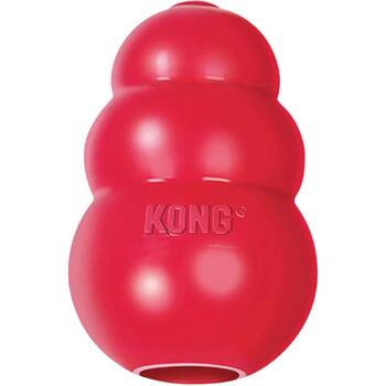 KONG Dog Toys: Are They Worth Buying, According To Reviews? - Paw