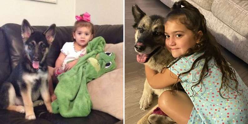 girl and dog