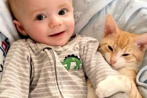 a cat and a baby laying together