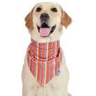 Striped Dog Bandana, Multicolor