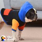 Dog Hoodie with Pocket, Black Colorblock