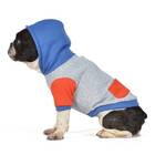 Dog Hoodie with Pocket, Grey Colorblock