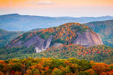 forest and mountains