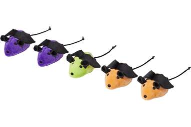 Keep it simple: Frisco Halloween Bat Mice Toys