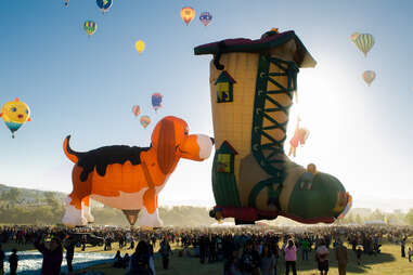 hot air balloon dog and giant boot