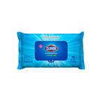 Clorox Disinfecting Wipes