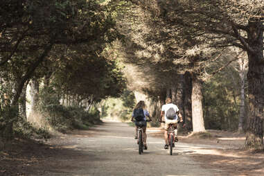 people biking in park