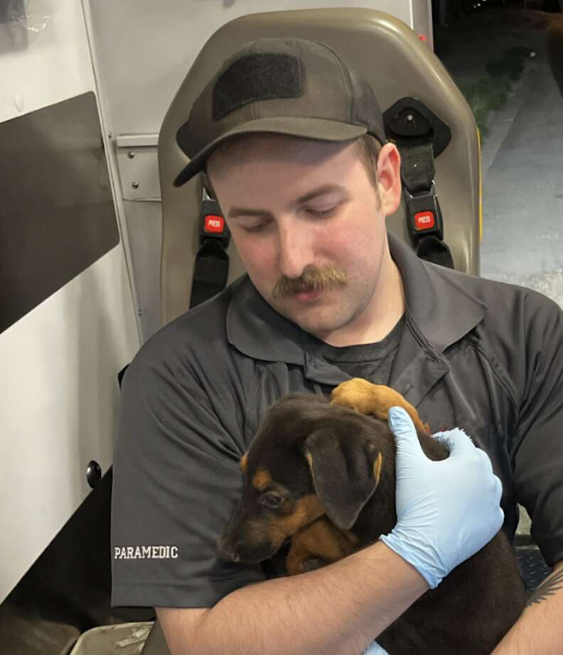 An EMT holds a scared puppy.