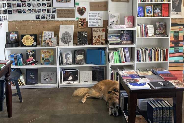 Dallas is getting a new independent bookstore: 'It's about creating a  community