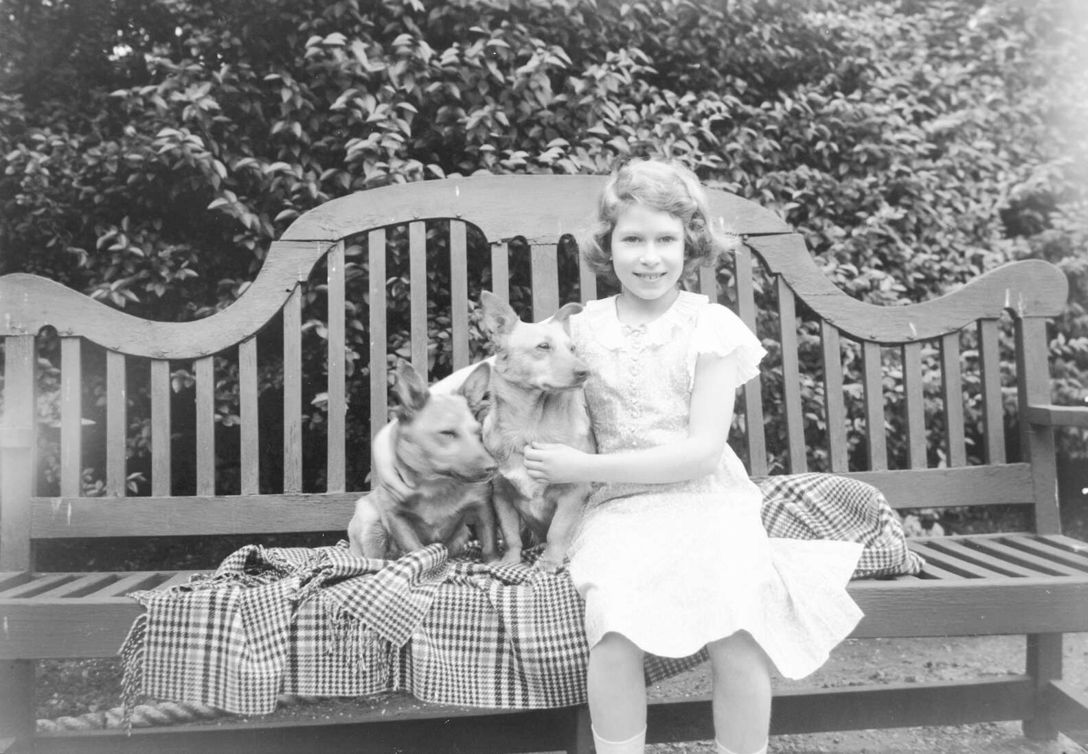 Queen Elizabeth’s Dogs: What Will Happen To Them After The Monarch’s ...