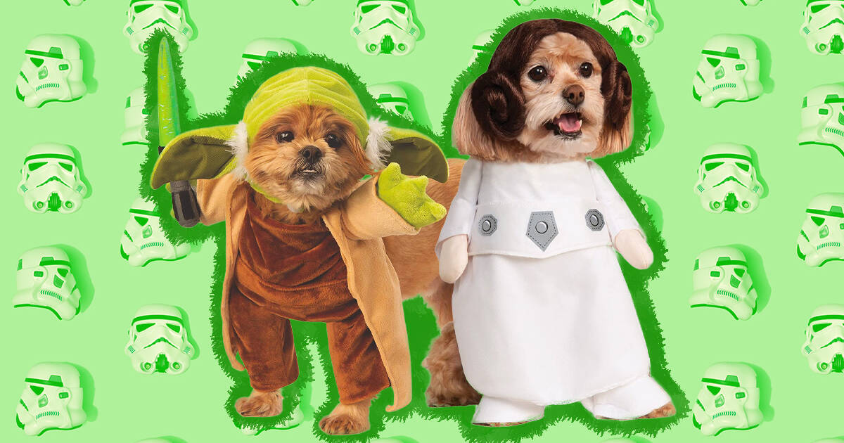 Outlook Hangen Interessant Star Wars Dog Costume: The 10 Best From Yoda To Wookiees And Everything In  Between - DodoWell - The Dodo