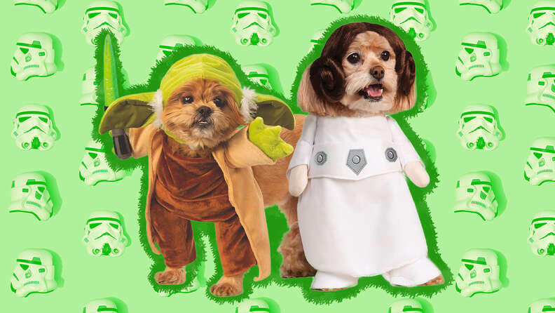 Star Wars Dog Costume The 10 Best From Yoda To Wookiees And