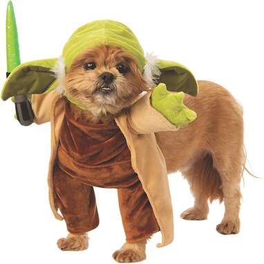 A great costume it is: Rubie’s Classic Yoda Costume