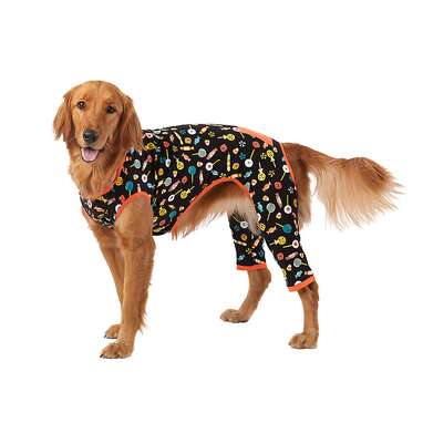 If you’re spending Halloween on the couch: Thrills & Chills Halloween Dog Pajamas