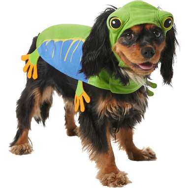 For Halloween party hopping: Frisco Frog Dog Costume