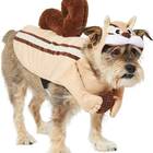 To let your dog step into his enemy’s shoes: Frisco Chipmunk Dog Costume