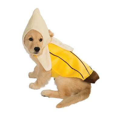 For the fruit salad group costume: Rubie’s Costume Company Banana Dog Costume