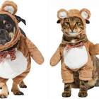 For your cuddle buddy: Frisco Front Walking Teddy Bear Costume