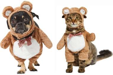 For your cuddle buddy: Frisco Front Walking Teddy Bear Costume