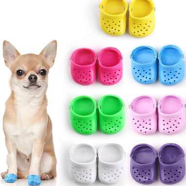 Dog Crocs: You Can Get A Pair For Your Pup, And They're *Obviously