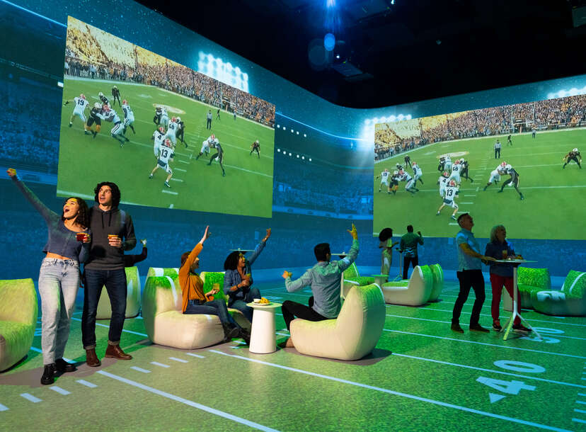 Football Themed Home Theater